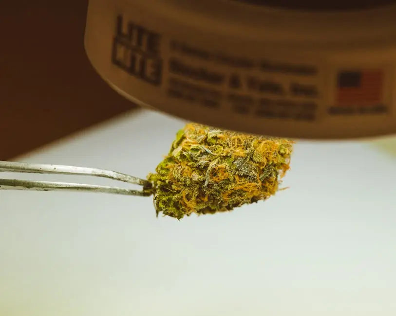 What makes top shelf thca flower different from regular cannabis?
