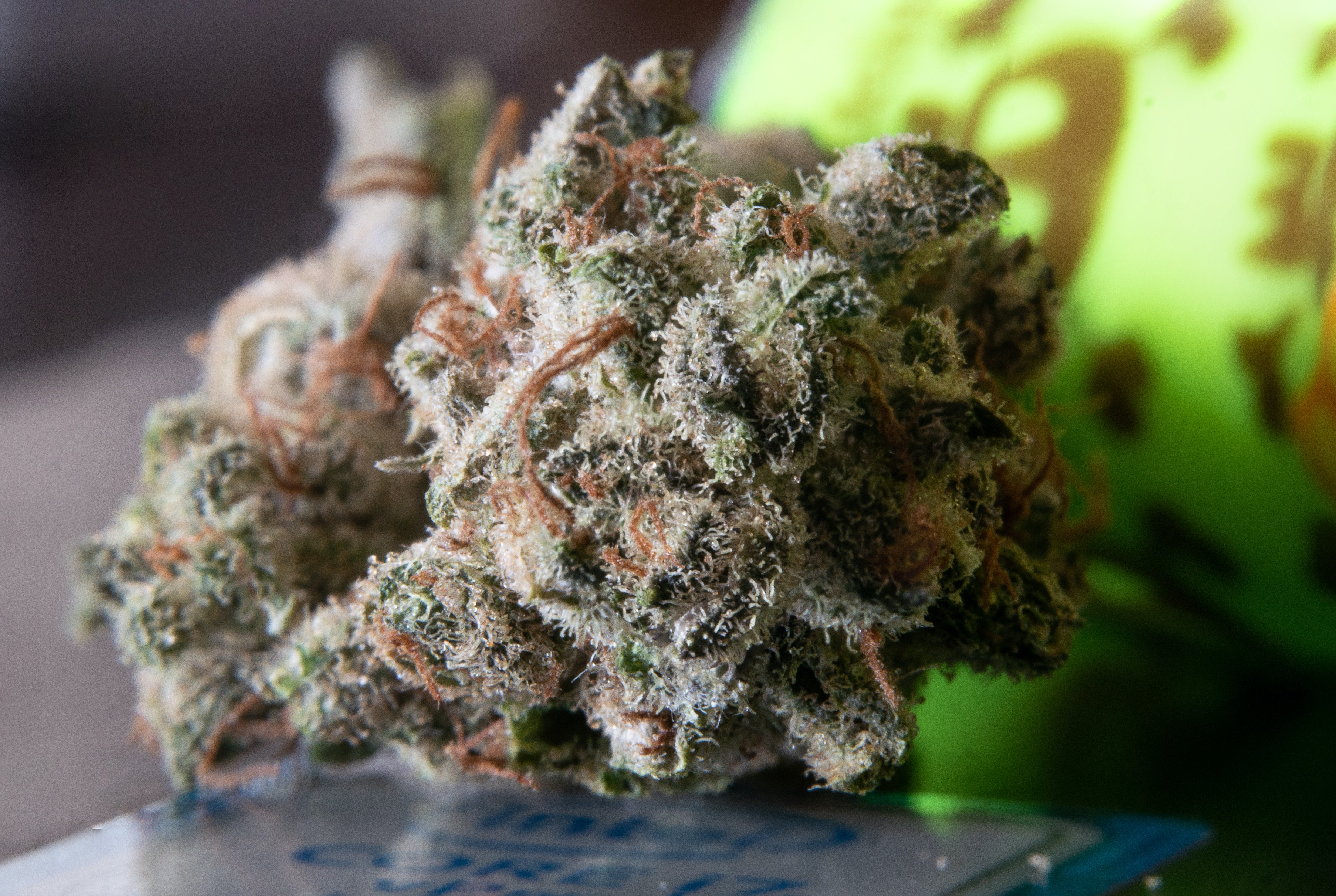 7 Exotic THCa Flower Strains You Must Try This Year