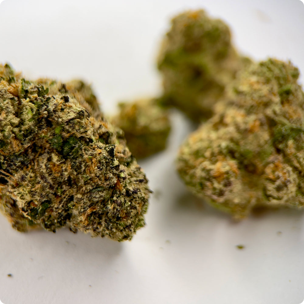 'Afghani' Reserve THCA Flower - Hybrid | 'Focus'