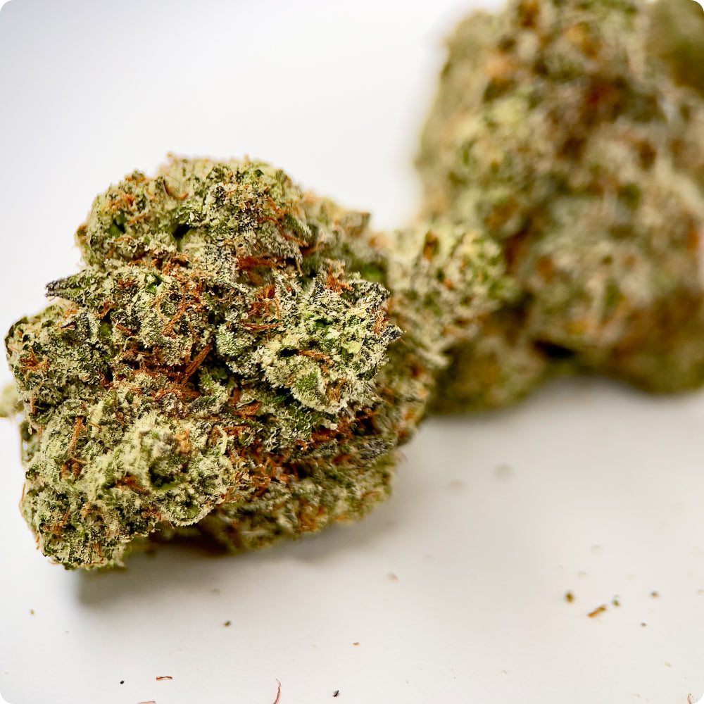 'Alaskan Thunderfuck' Reserve THCA Flower - Hybrid | 'Energize'