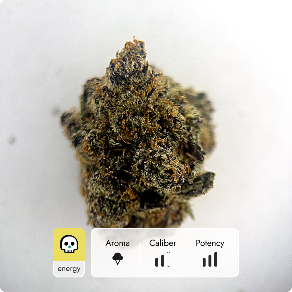 'Blue Nerdz' Select THCA Flower - Hybrid | 'Energize'