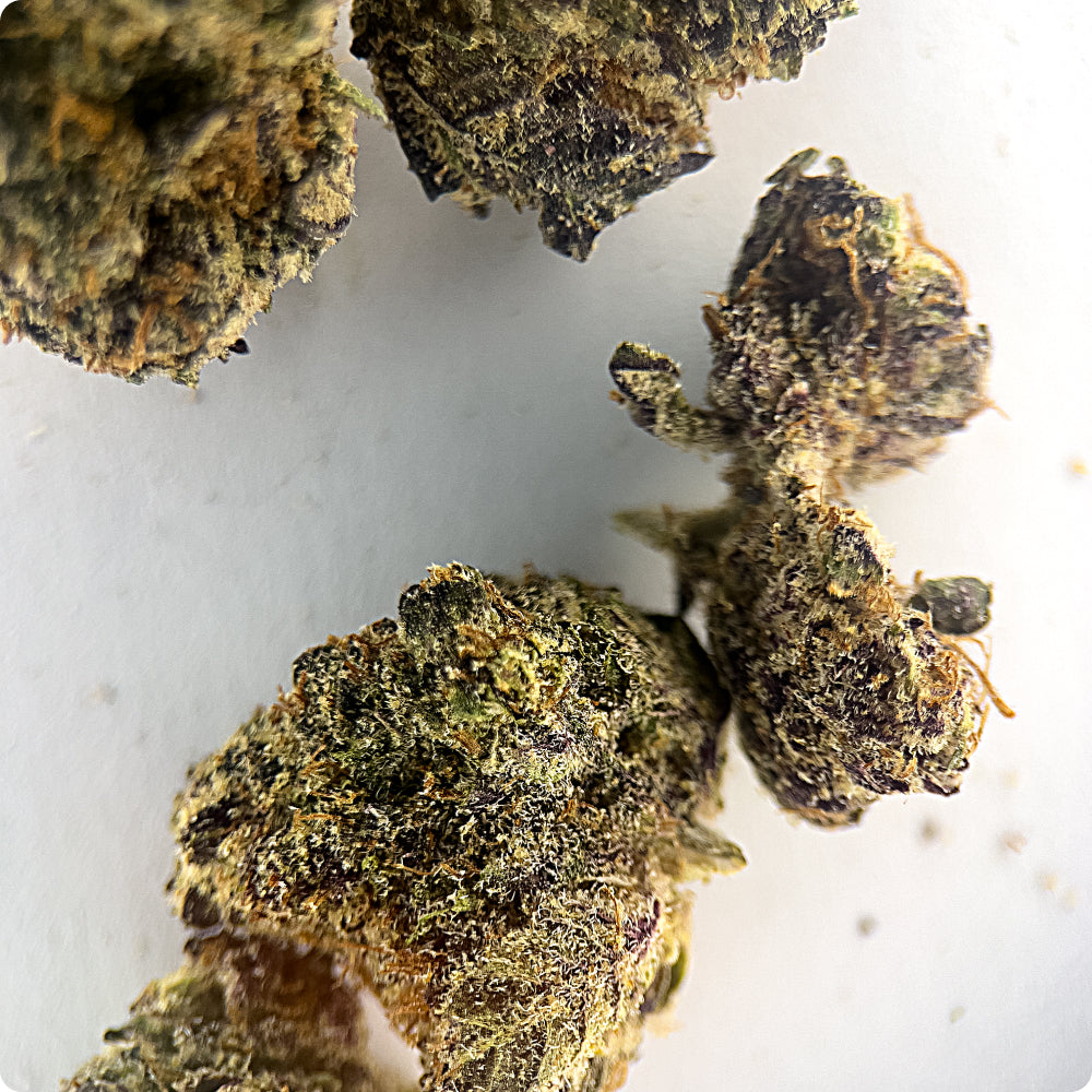 'Blue Nerdz' Select THCA Flower - Hybrid | 'Energize'