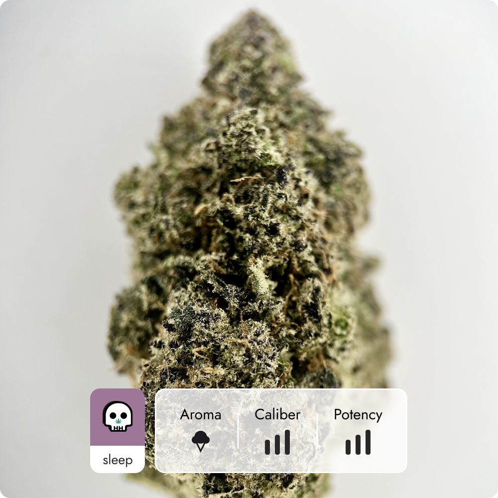 'Blueberry Sugar' Reserve THCA Flower - Hybrid | 'Sleep'