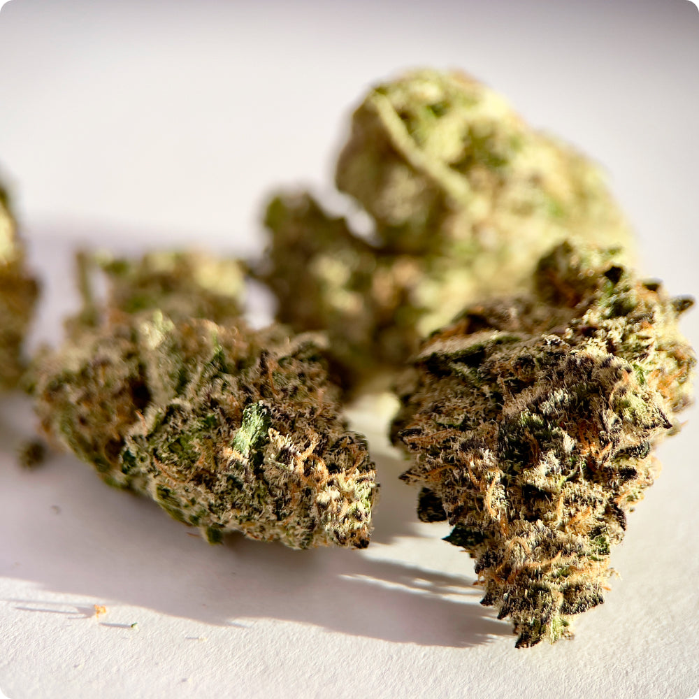 'Blueberry Sugar' Reserve THCA Flower - Hybrid | 'Sleep'