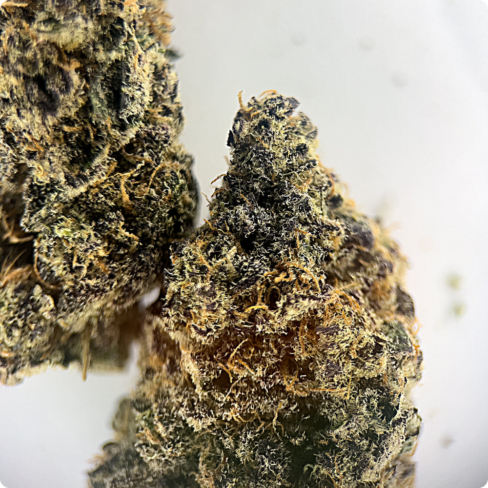 'Blueberry Sugar' Select THCA Flower - Hybrid | 'Relax'