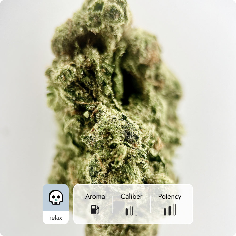 'Donny Burger' Classic THCA Flower - Hybrid | 'Relax'