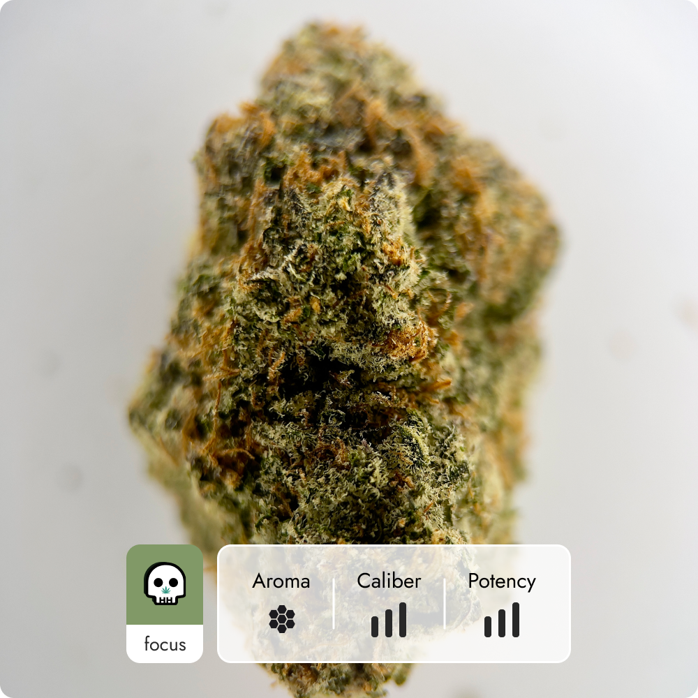 'Electric Koolaid' Reserve THCA Flower - Hybrid | 'Focus'