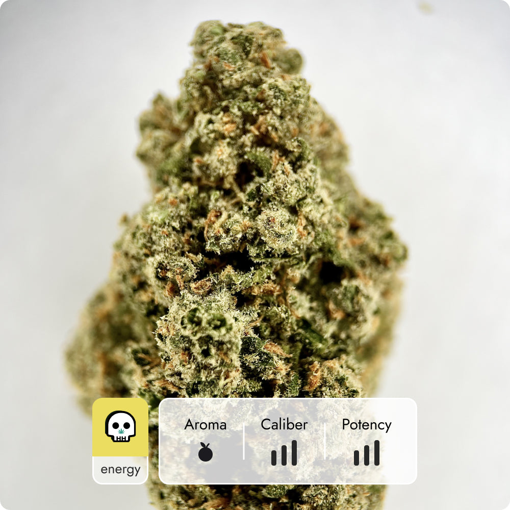 'Green Crack' Reserve THCA Flower - Sativa | 'Energize'