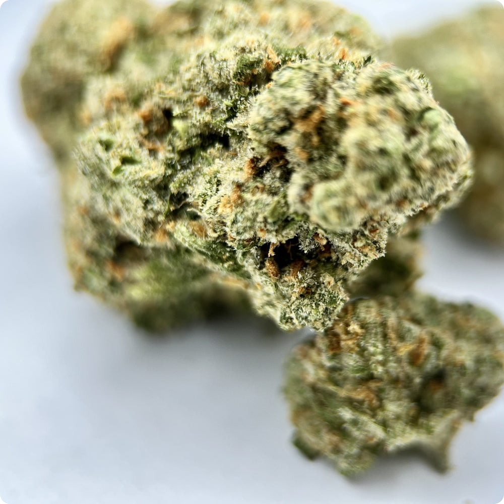 'Green Crack' Reserve THCA Flower - Sativa | 'Energize'