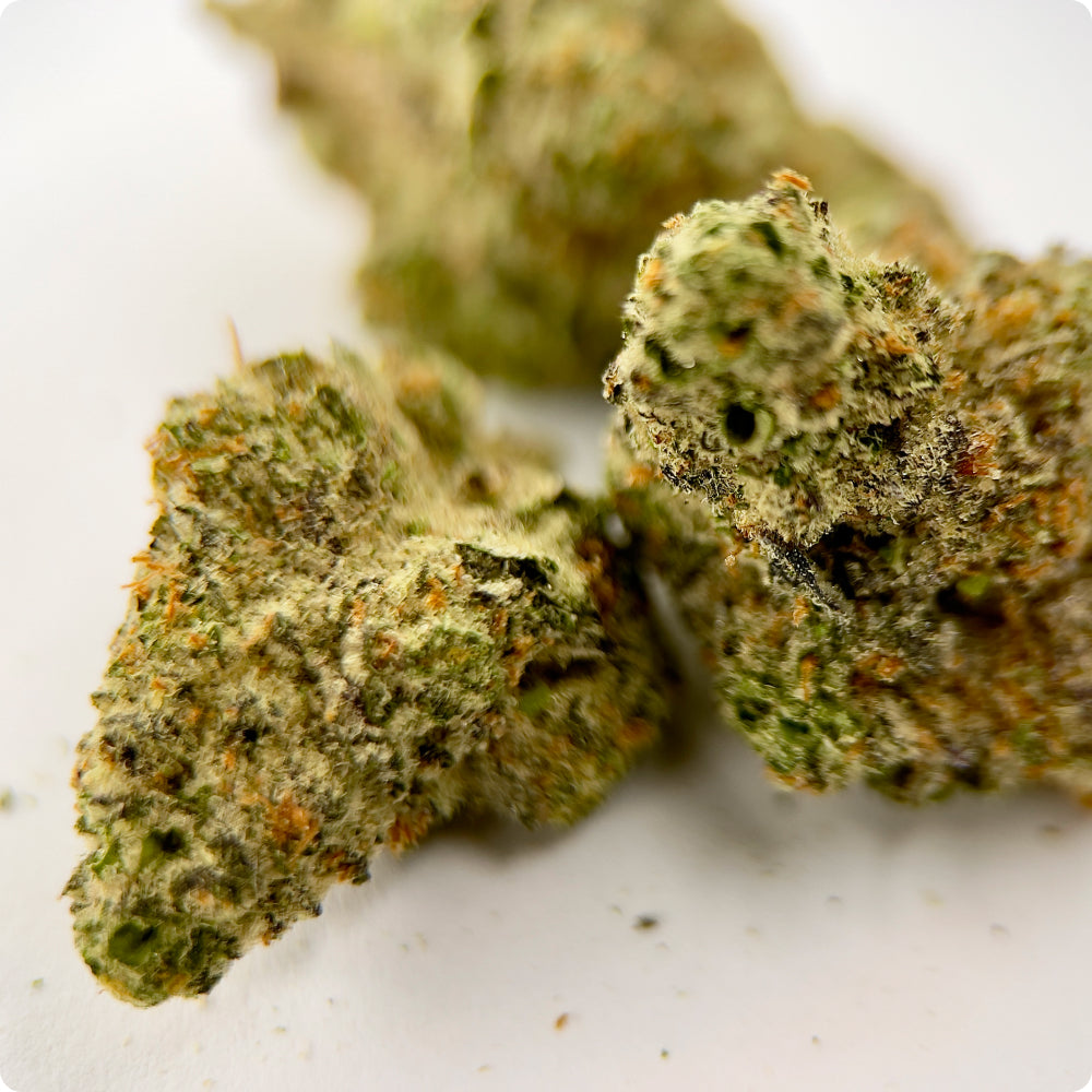 'Mandarin Cookies' Reserve THCA Flower - Hybrid | 'Relax'