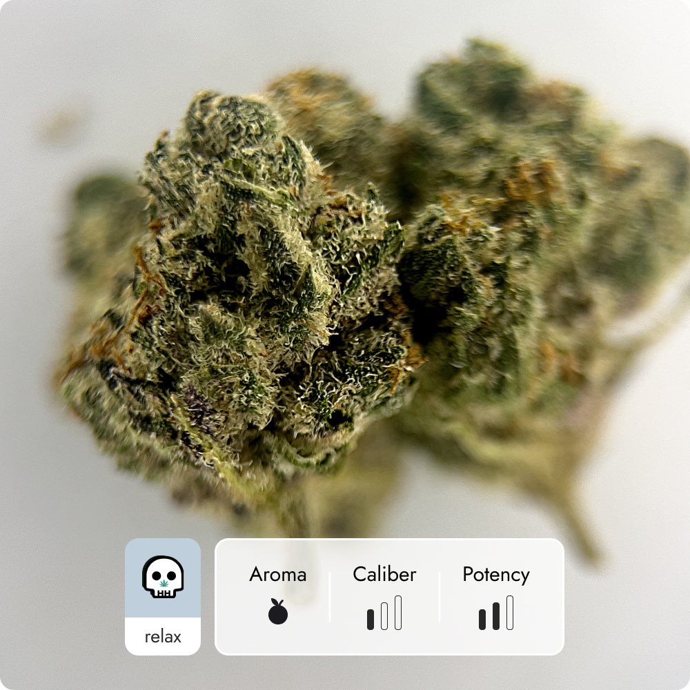 'Pure Michigan' Classic THCA Flower - Hybrid | 'Relax'