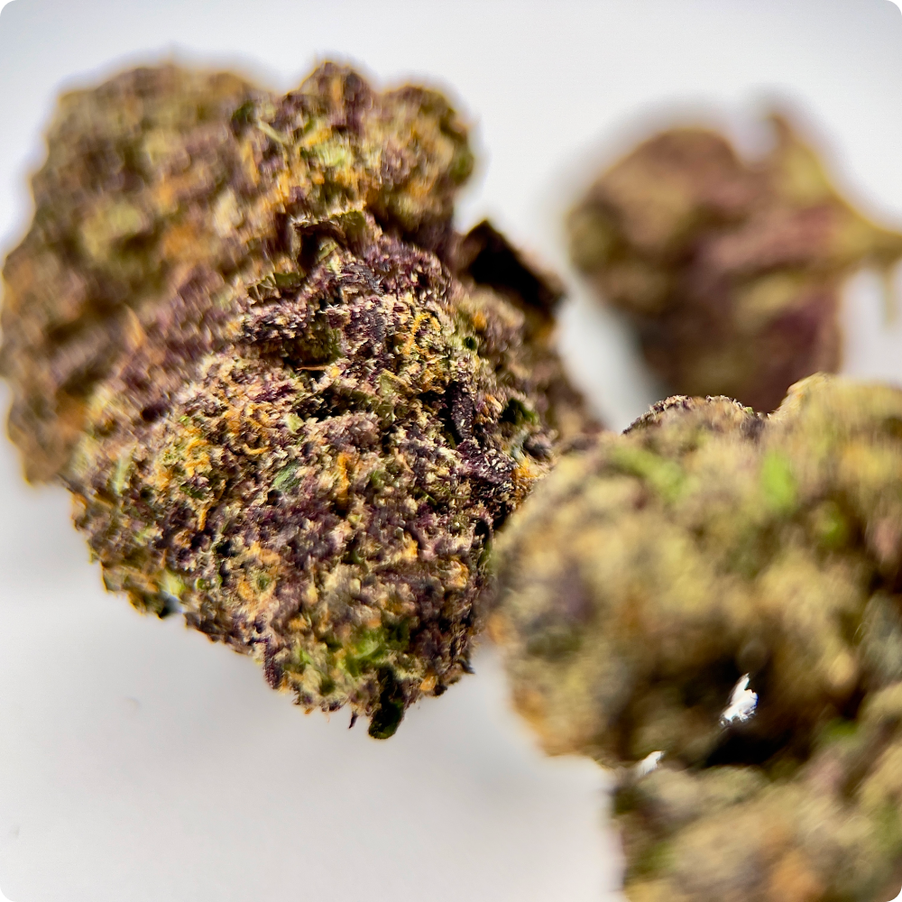 'Purple Panty Dropper' Reserve THCA Flower - Indica | 'Relax'