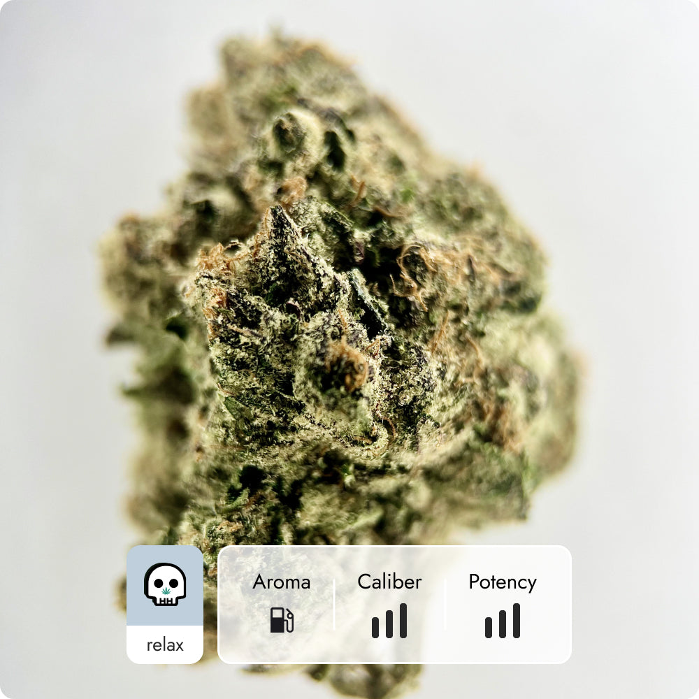 'Raspberry Gas' Reserve THCA Flower - Hybrid | 'Relax'