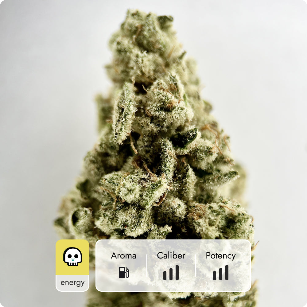 'Sour Diesel' Reserve THCA Flower