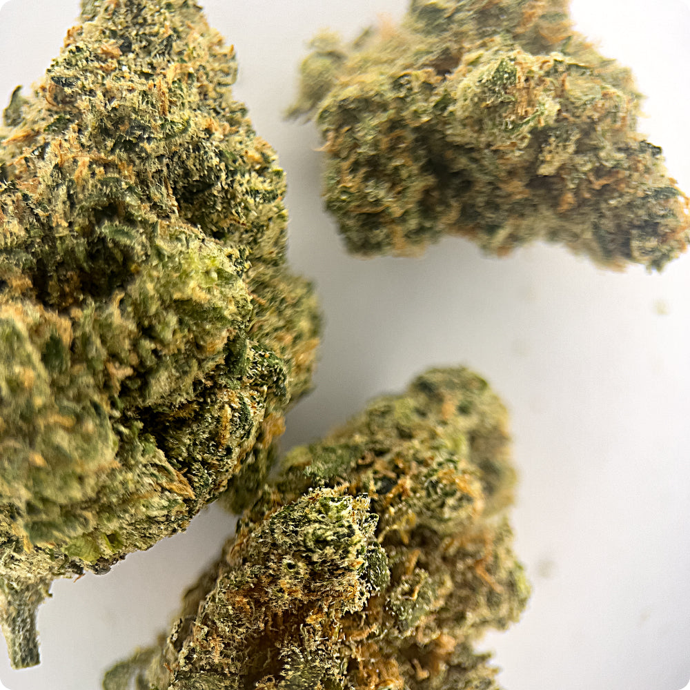 'Sour Jack' Select THCA Flower - Hybrid | 'Energize'
