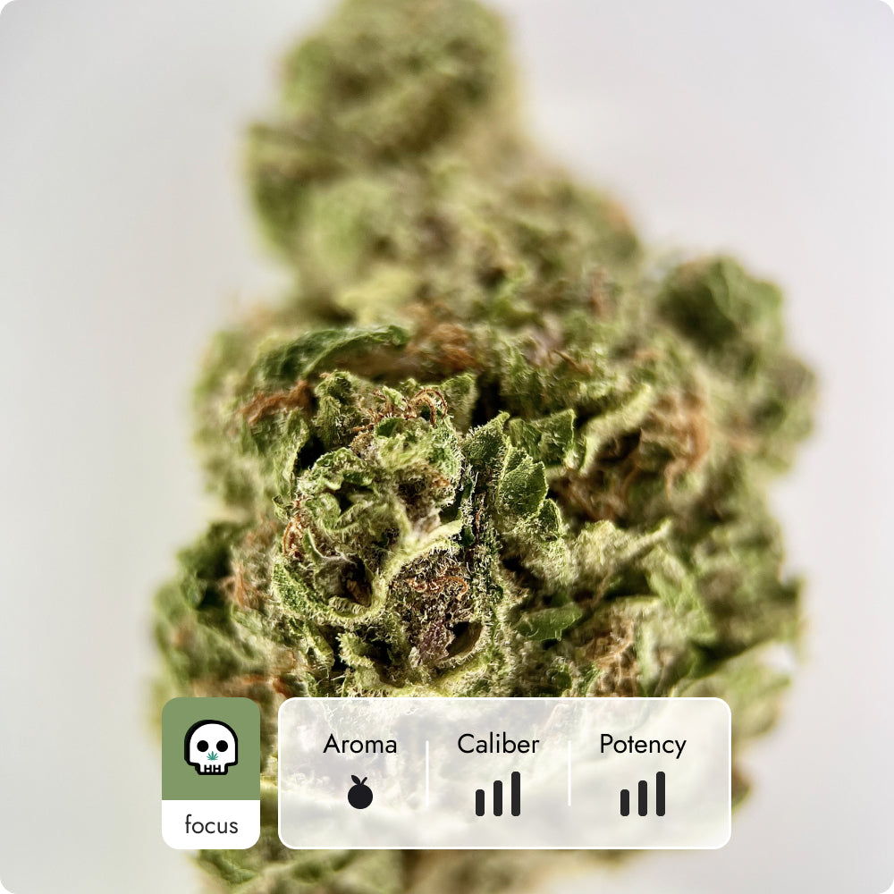 'Super Boof' Classic THCA Flower - Hybrid | 'Relax'