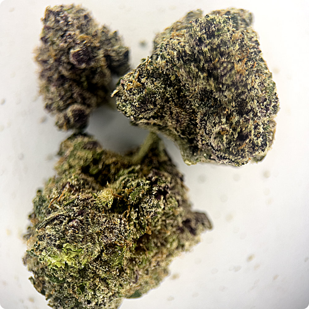 'Super Boof' Reserve THCA Flower - Hybrid | 'Focus'