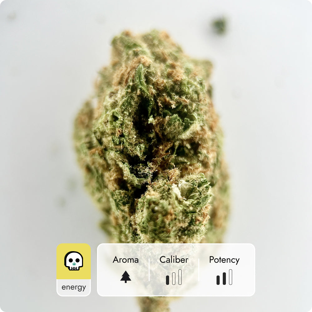 'Super Silver Haze' Reserve THCA Flower - Hybrid | 'Classic'