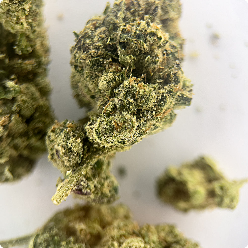 'Zoap' Classic THCA Flower - Hybrid | 'Relax'