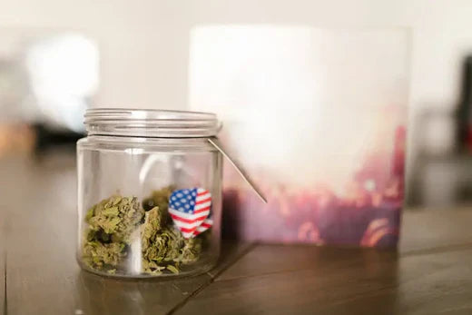 Is THCa Flower Legal in My State?