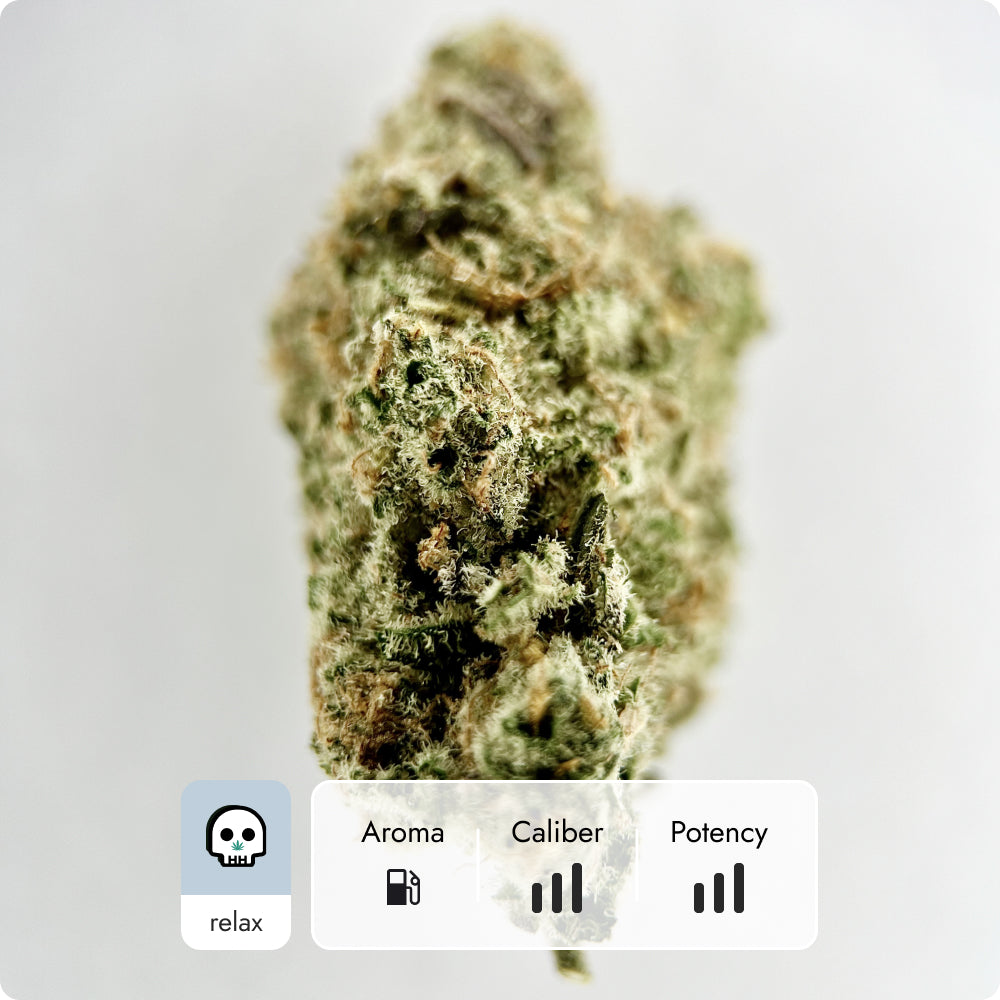 'Black Maple' Reserve THCA Flower - Hybrid | 'Relax'