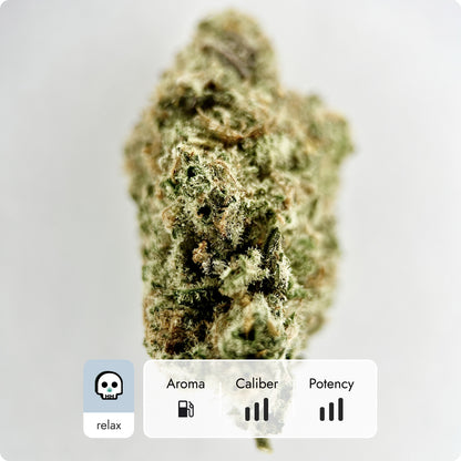 'Black Maple' Reserve THCA Flower - Hybrid | 'Relax'