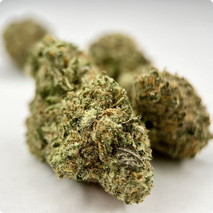 'Black Maple' Reserve THCA Flower - Hybrid | 'Relax'