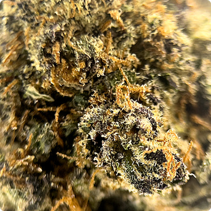 'Blue Nerdz' Select THCA Flower - Hybrid | 'Energize'