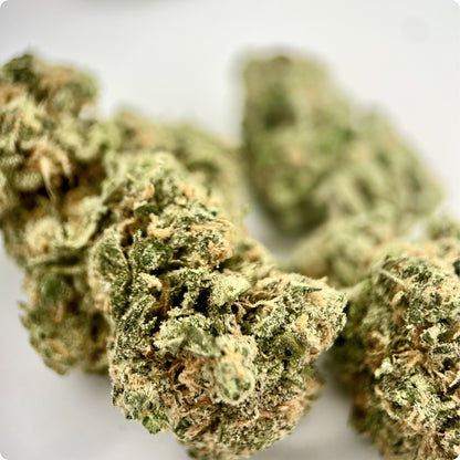 'Blue Dream' Reserve THCA Flower - Hybrid | 'Focus'