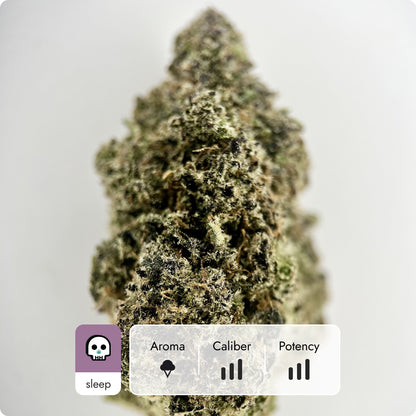 'Blueberry Sugar' Reserve THCA Flower - Hybrid | 'Sleep'