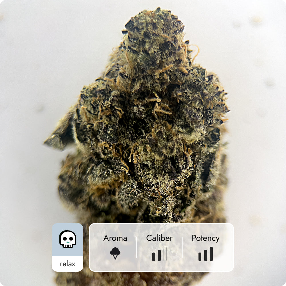 'Blueberry Sugar' Select THCA Flower - Hybrid | 'Relax'