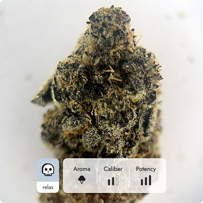 'Blueberry Sugar' Select THCA Flower - Hybrid | 'Relax'