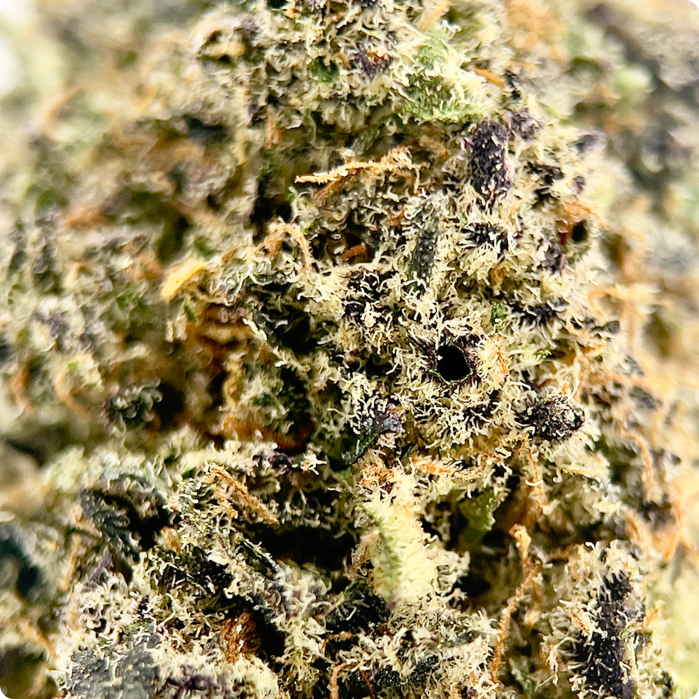 'Blueberry Sugar' Reserve THCA Flower - Hybrid | 'Sleep'
