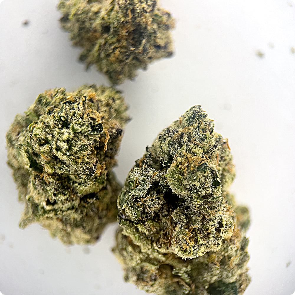 'Candyland' Reserve THCA Flower - Hybrid | 'Energize'