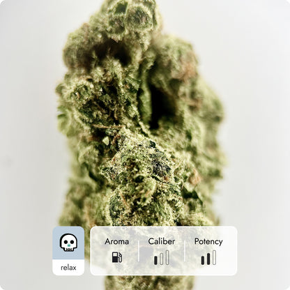 'Donny Burger' Classic THCA Flower - Hybrid | 'Relax'