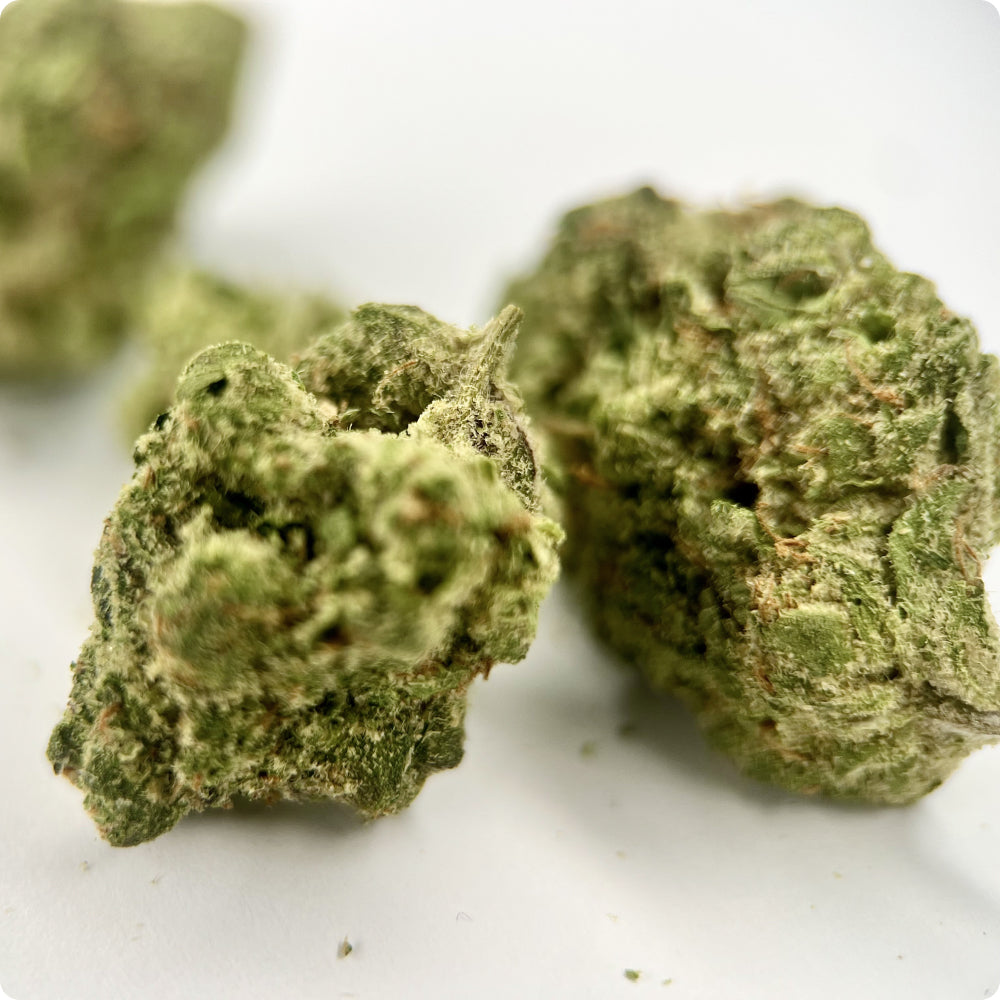 'Donny Burger' Classic THCA Flower - Hybrid | 'Relax'