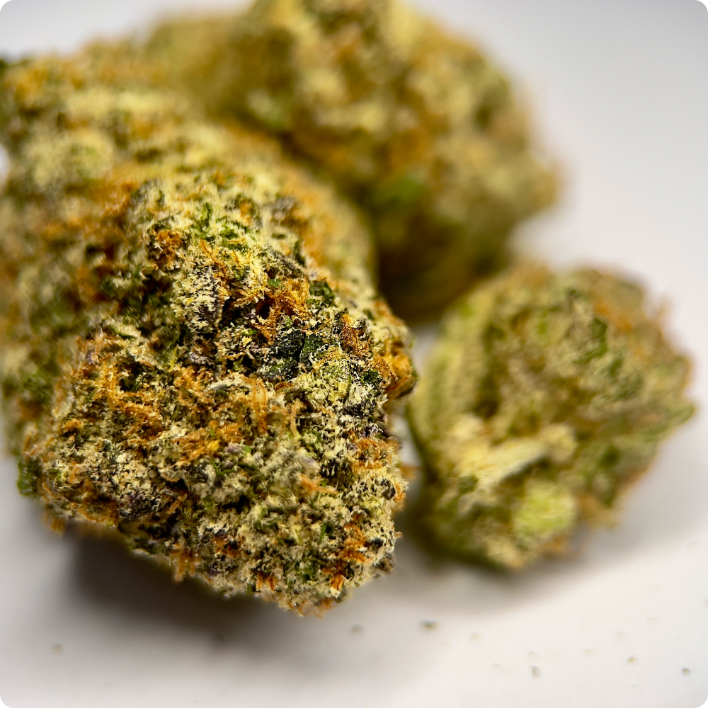 'Electric Koolaid' Reserve THCA Flower - Hybrid | 'Focus'