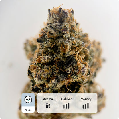 'Forbidden Gushers' Reserve THCA Flower - Hybrid | 'Relax'