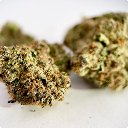 'Forbidden Gushers' Reserve THCA Flower - Hybrid | 'Relax'