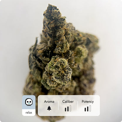 'King Louie' Select THCA Flower - Hybrid | 'Relax'