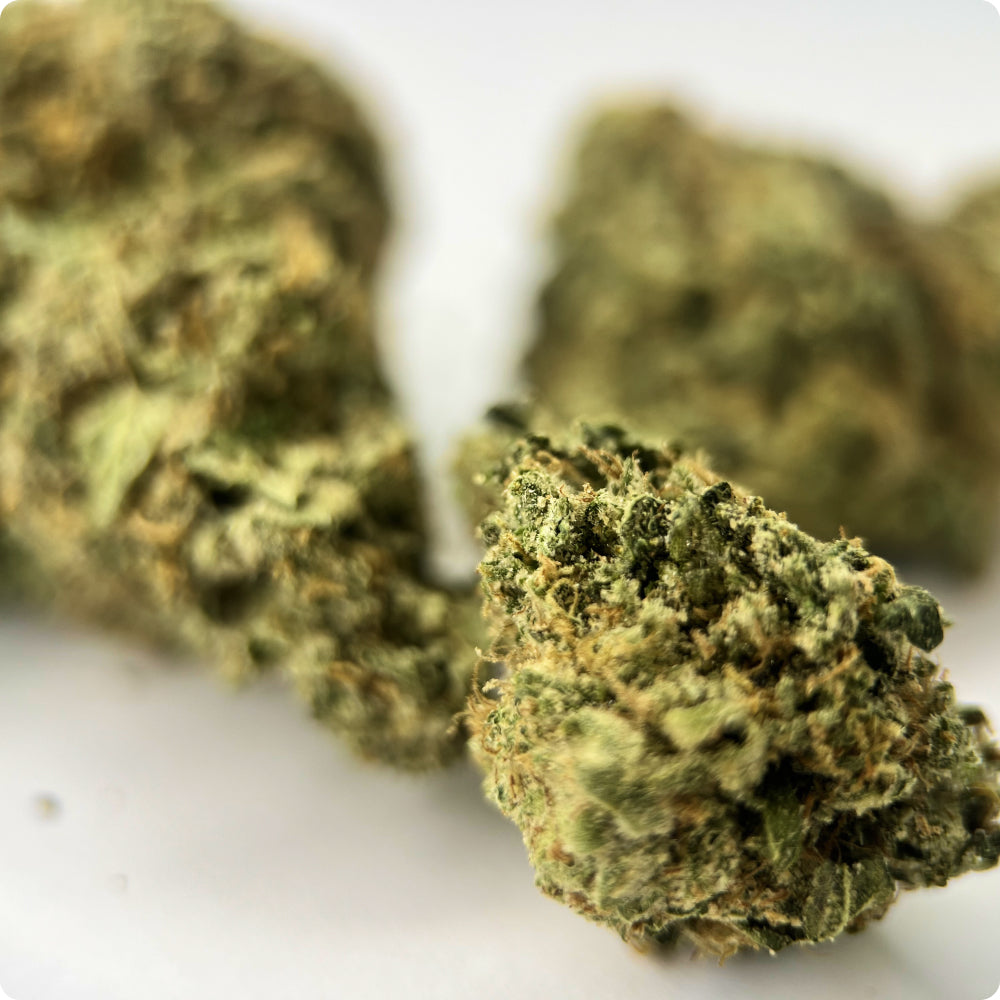 'Lemon Tree' Classic THCA Flower - Hybrid | 'Energize'