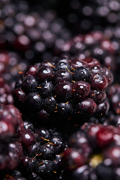 Wyld Marionberry Gummies, 10mg - 'Mellow'