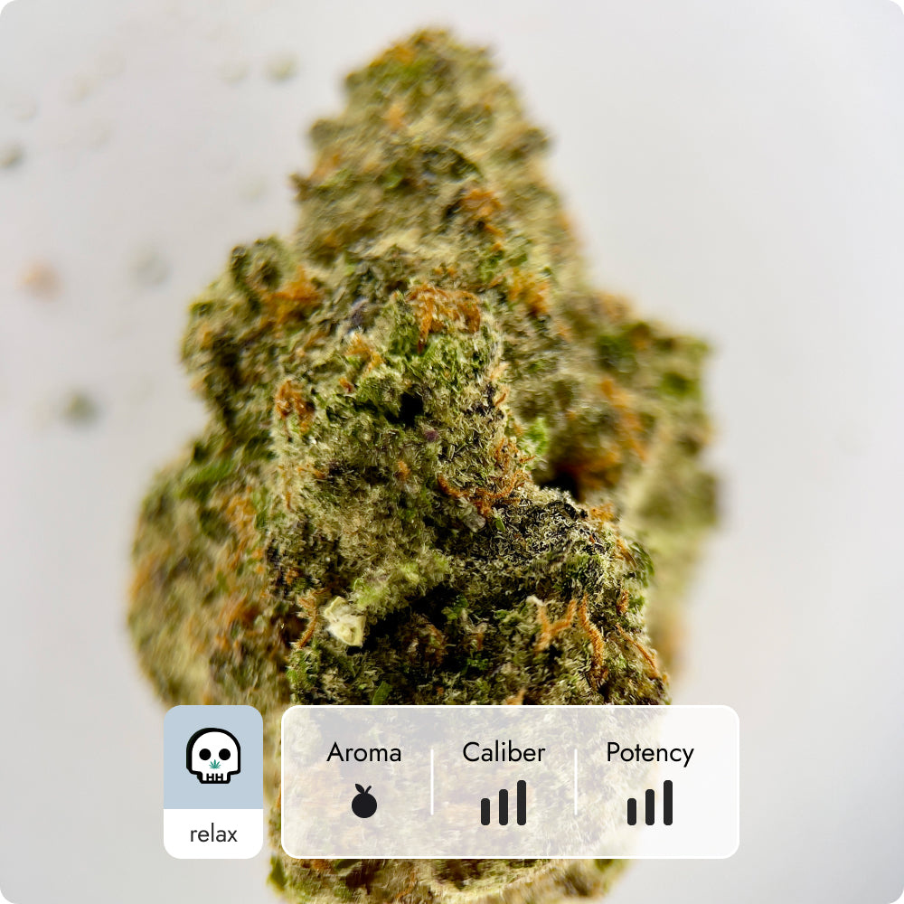 'Mandarin Cookies' Reserve THCA Flower - Hybrid | 'Relax'