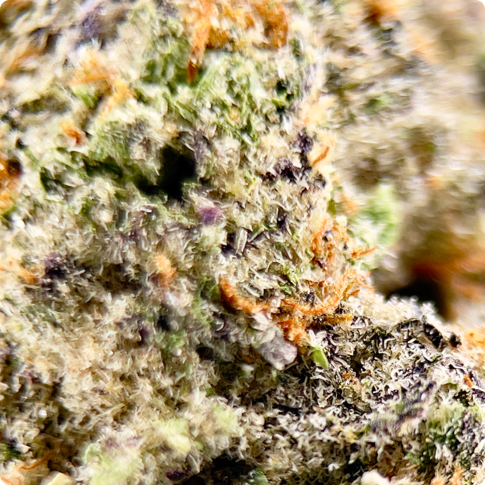 'Mandarin Cookies' Reserve THCA Flower - Hybrid | 'Relax'
