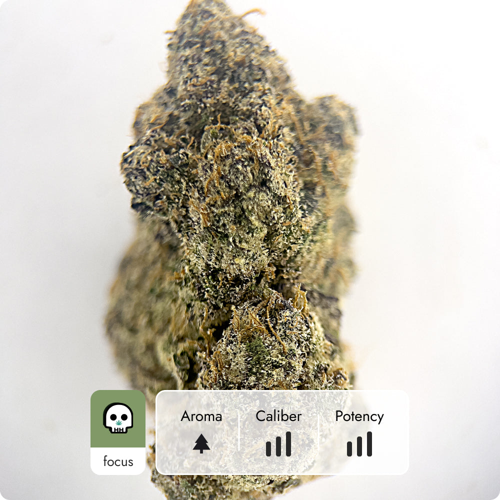 'Nuclear Slurpee' Reserve THCA Flower - Hybrid | 'Focus'