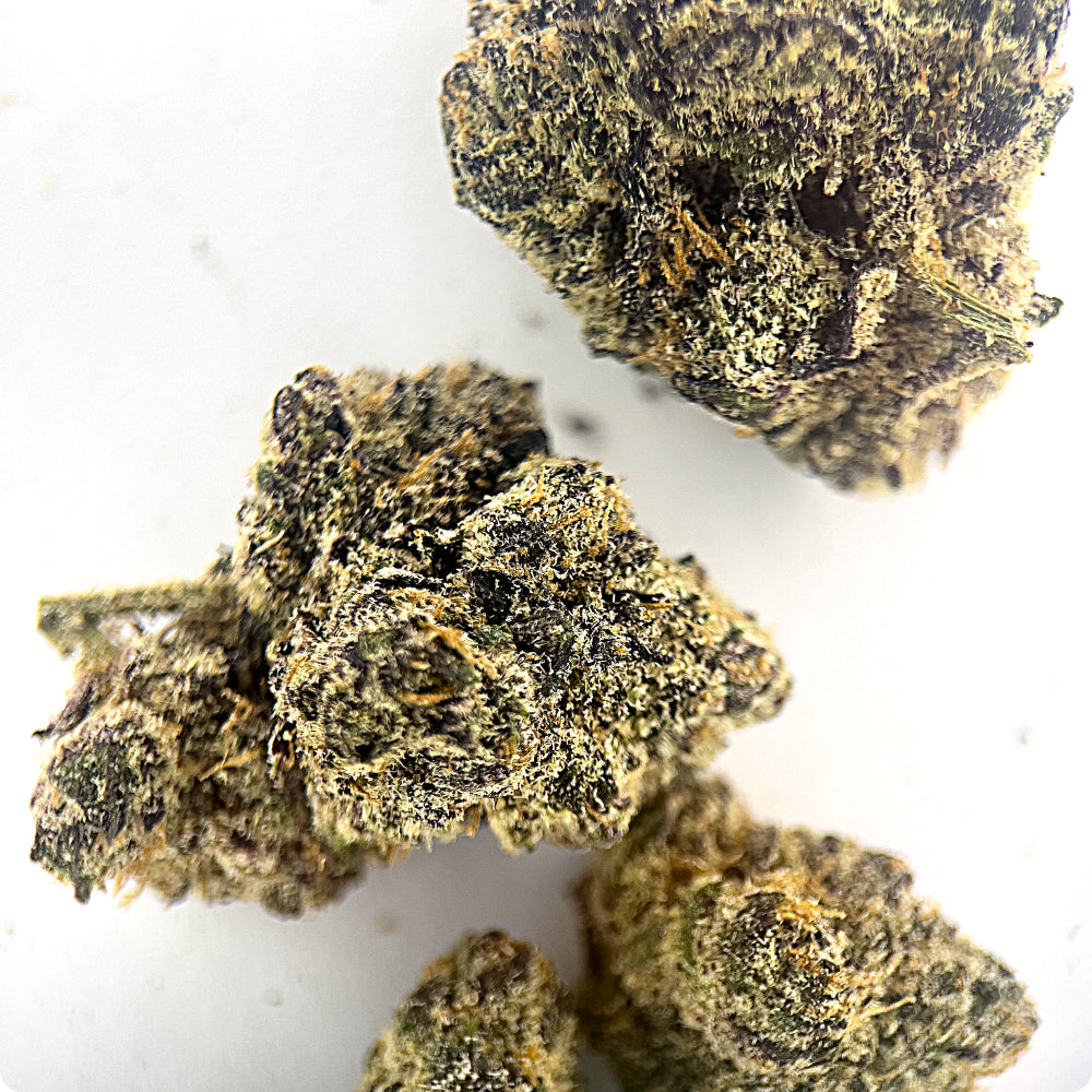 'Nuclear Slurpee' Reserve THCA Flower - Hybrid | 'Focus'