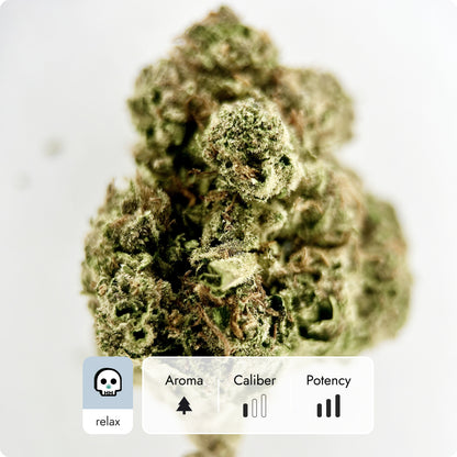 'OG Chem' Classic THCA Flower - Hybrid | 'Relax'