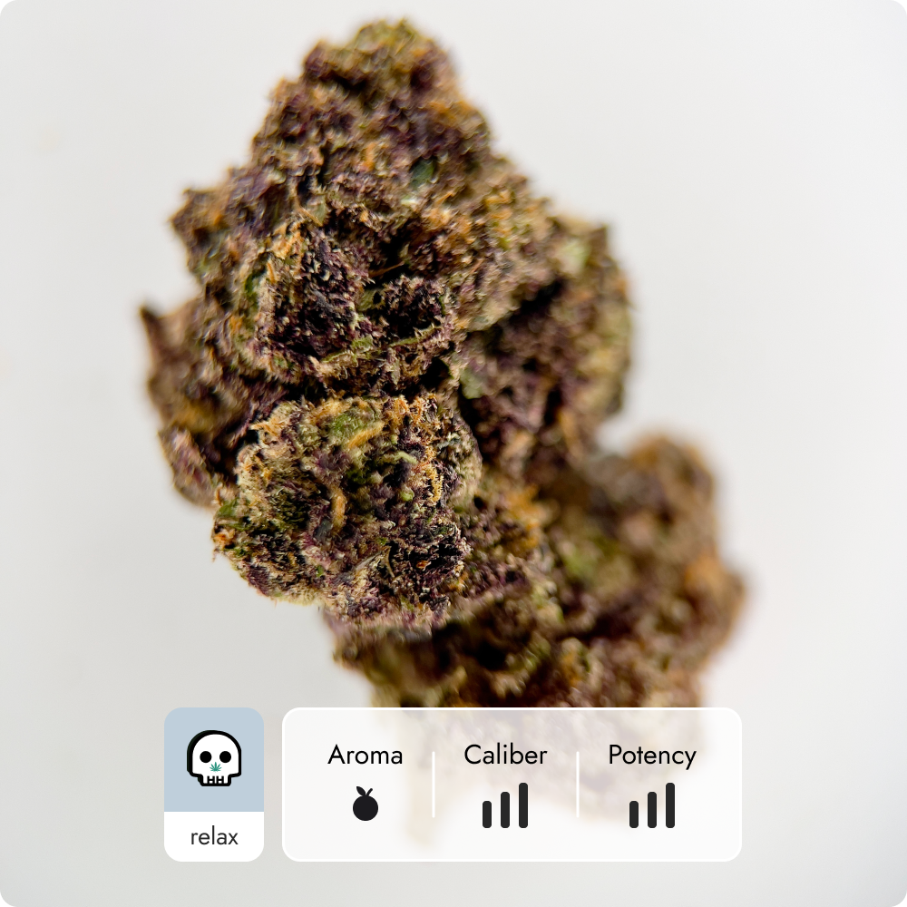 'Purple Panty Dropper' Reserve THCA Flower - Indica | 'Relax'