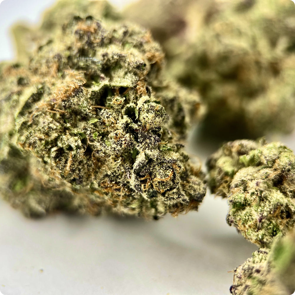 'Raspberry Gas' Reserve THCA Flower - Hybrid | 'Relax'