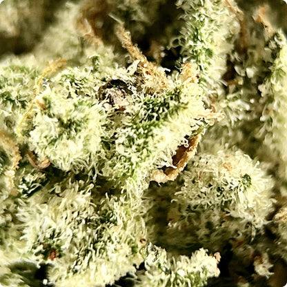 'Sour Diesel' Reserve THCA Flower